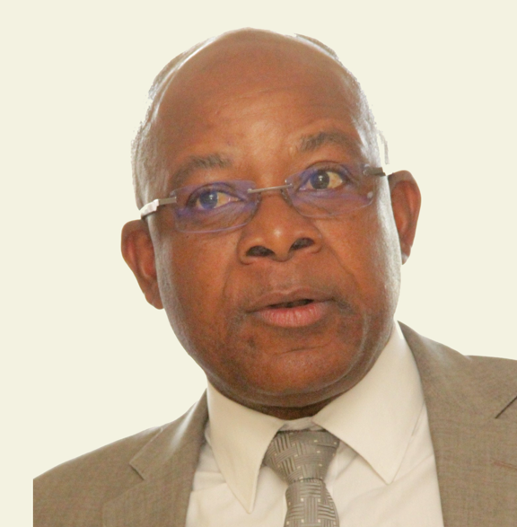 Mr Wellington Mukwekwe Makamure